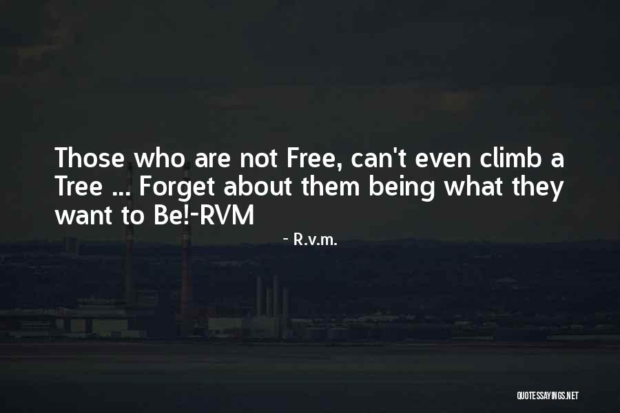 V R Quotes By R.v.m. V R Quotes By R.v.m.