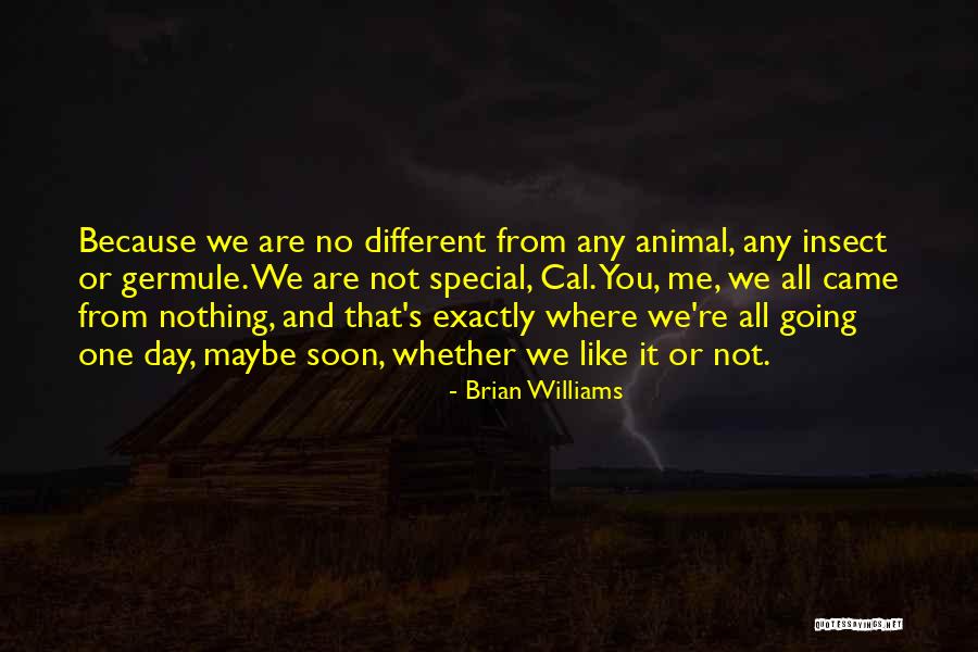 V Rv Lgy T Rk P Quotes By Brian Williams V Rv Lgy T Rk P Quotes By Brian Williams
