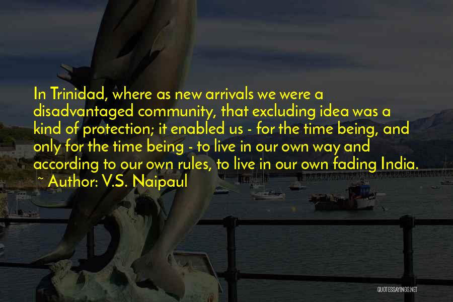 V.S. Naipaul Quotes 1239238