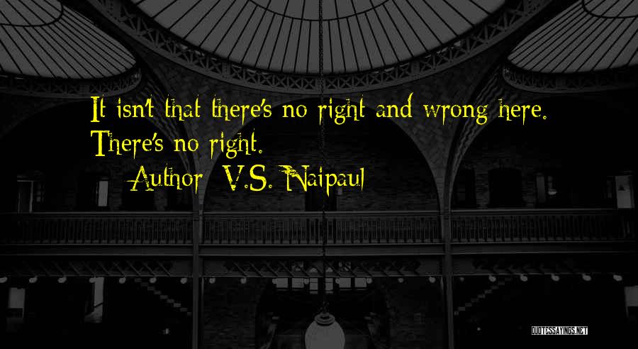 V.S. Naipaul Quotes 1775098
