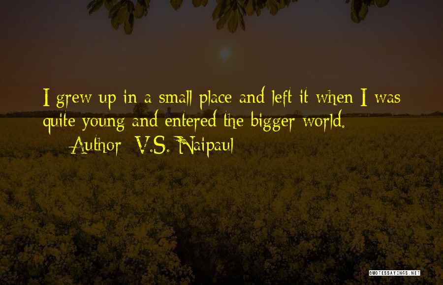 V.S. Naipaul Quotes 2071658