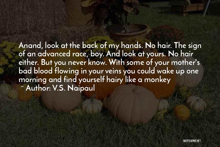 V.S. Naipaul Quotes 341049