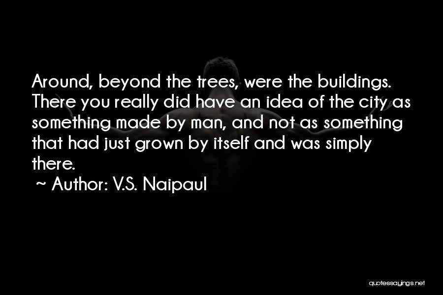 V.S. Naipaul Quotes 390207
