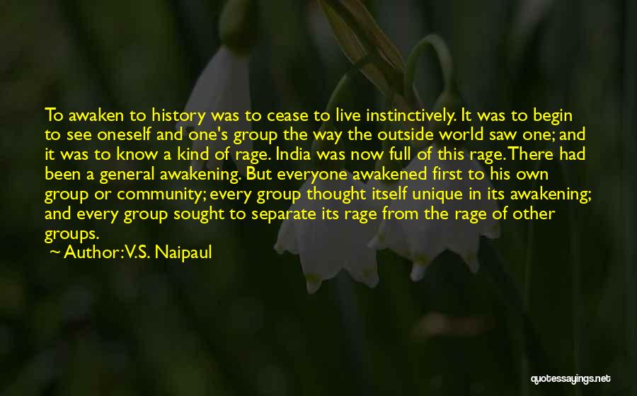 V.S. Naipaul Quotes 574224