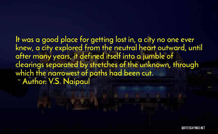 V.S. Naipaul Quotes 967398