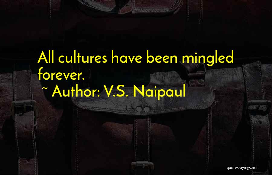 V.S. Naipaul Quotes 997910