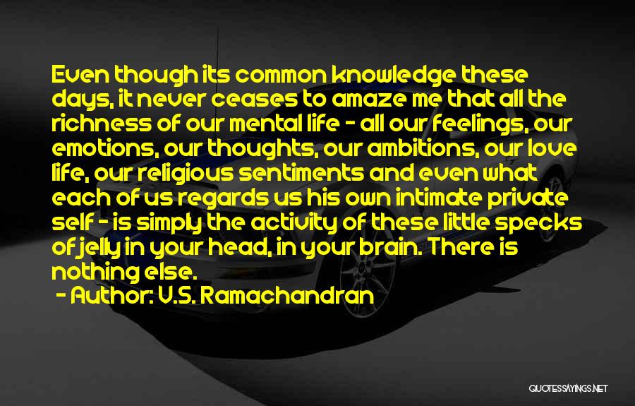 V.S. Ramachandran Quotes 1796459