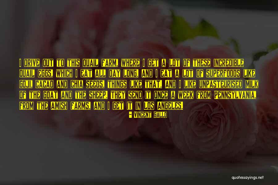 V Zsonyi Sz Vetkezeti Kft Quotes By Vincent Gallo V Zsonyi Sz Vetkezeti Kft Quotes By Vincent Gallo