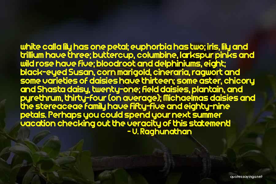 Vacation With Family Quotes By V. Raghunathan Vacation With Family Quotes By V. Raghunathan