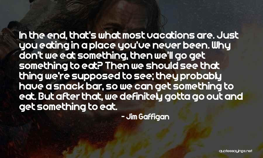 Vacations To Go Quotes By Jim Gaffigan