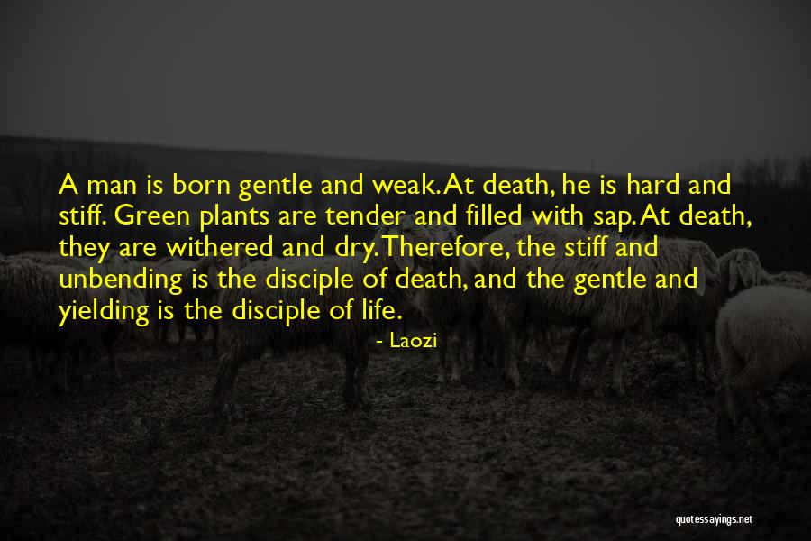 Vacillated 7 Quotes By Laozi Vacillated 7 Quotes By Laozi