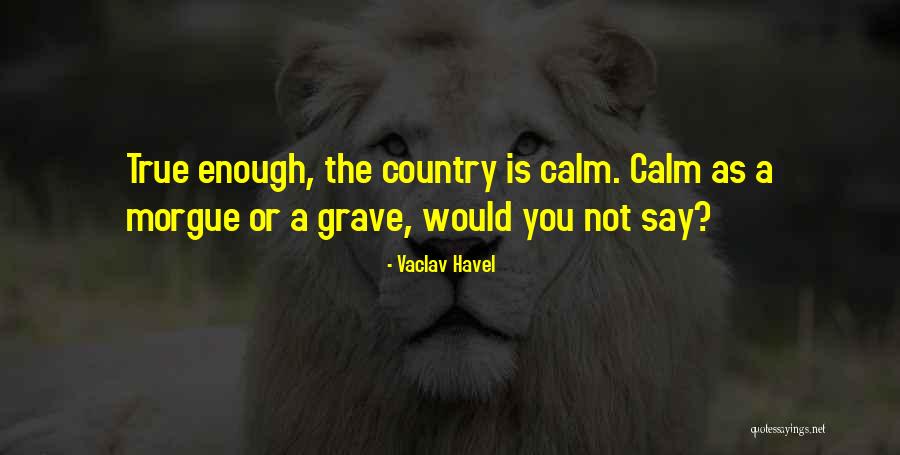Vaclav Havel Quotes 462125 Vaclav Havel Quotes 462125