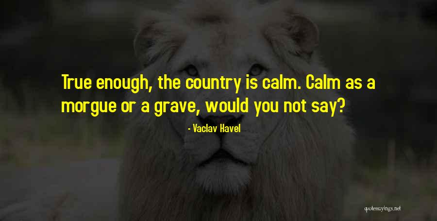 Vaclav Havel Quotes 462125