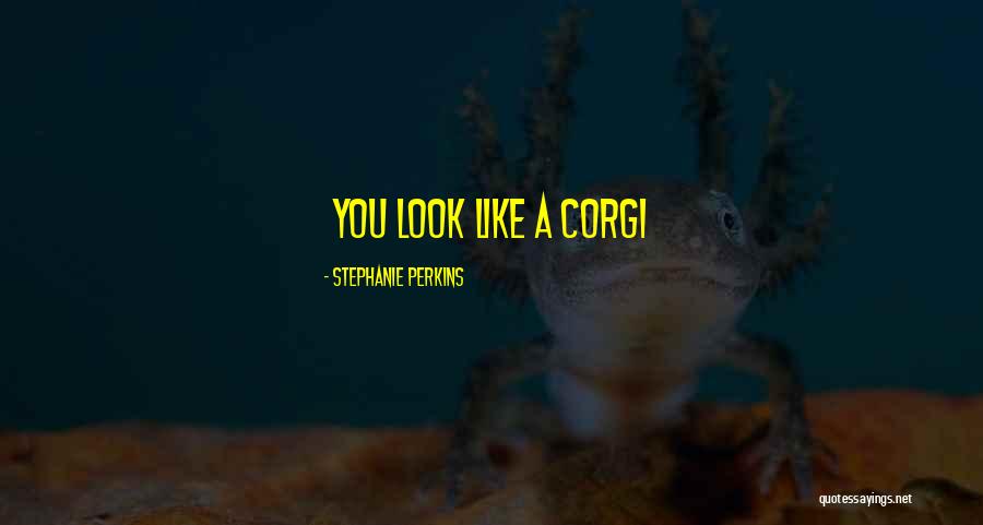 Vacontil Quotes By Stephanie Perkins Vacontil Quotes By Stephanie Perkins