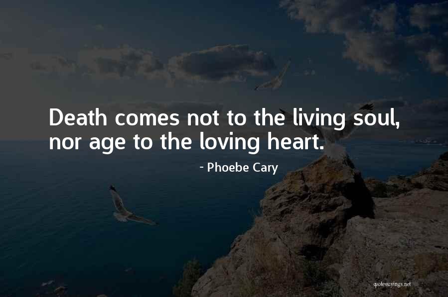 Vacume Quotes By Phoebe Cary Vacume Quotes By Phoebe Cary