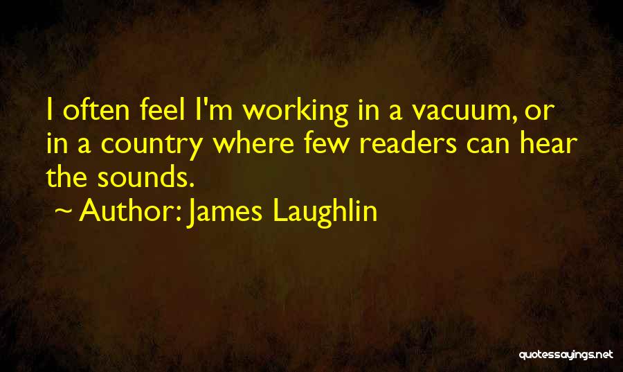 Vacuums Quotes By James Laughlin
