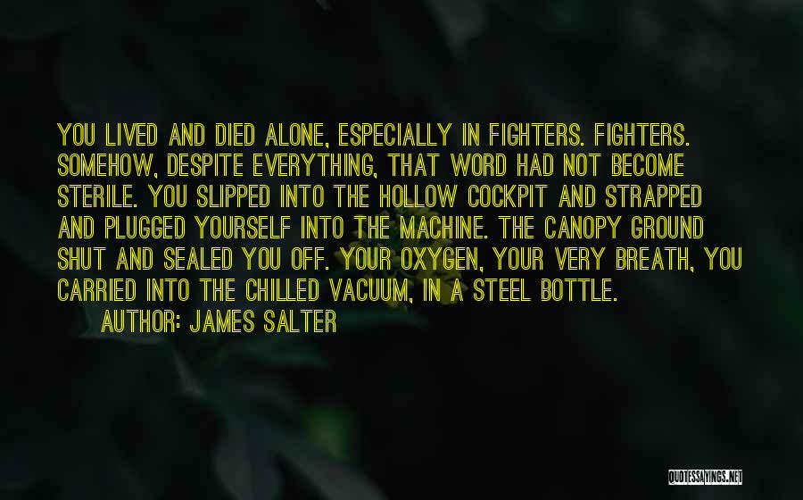 Vacuums Quotes By James Salter