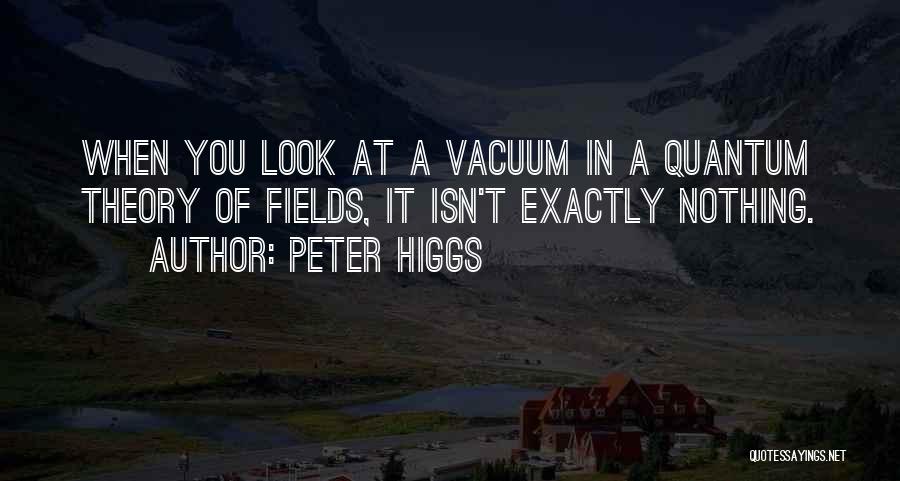 Vacuums Quotes By Peter Higgs