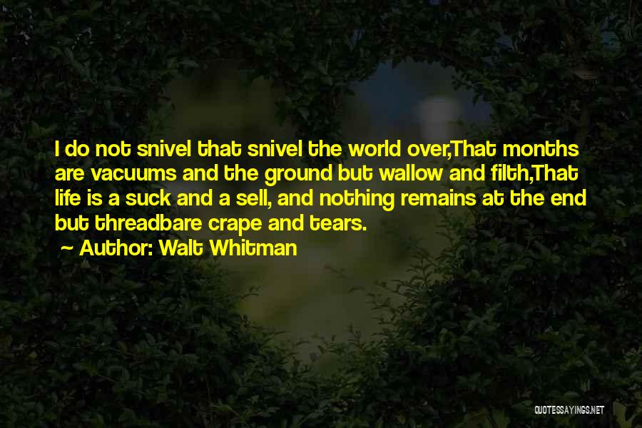 Vacuums Quotes By Walt Whitman