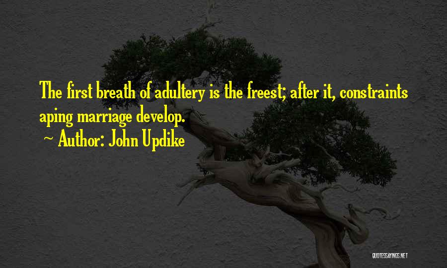 Vad Betyder Quotes By John Updike