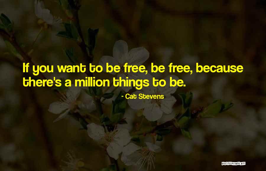 Vadinho Freire Quotes By Cat Stevens Vadinho Freire Quotes By Cat Stevens