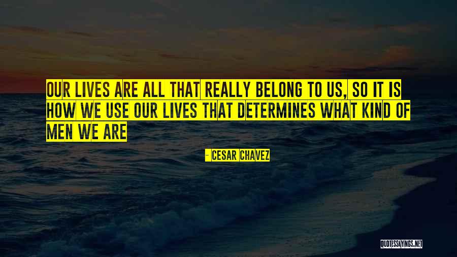 Vadul Lui Quotes By Cesar Chavez Vadul Lui Quotes By Cesar Chavez