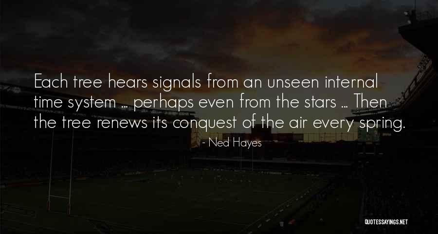 Vagamente In Inglese Quotes By Ned Hayes Vagamente In Inglese Quotes By Ned Hayes