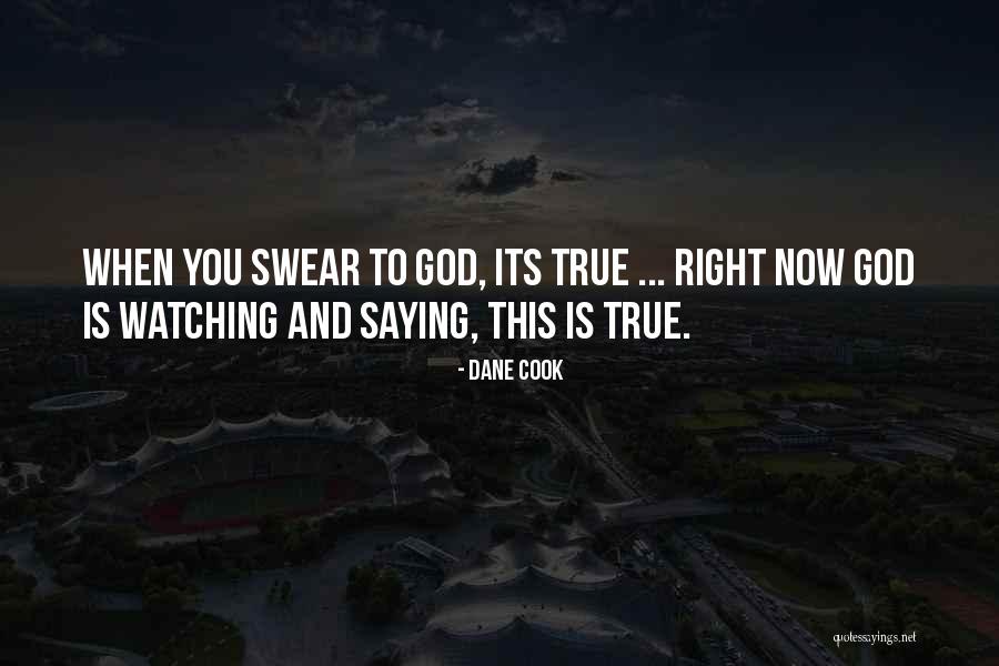 Vagisan Quotes By Dane Cook Vagisan Quotes By Dane Cook