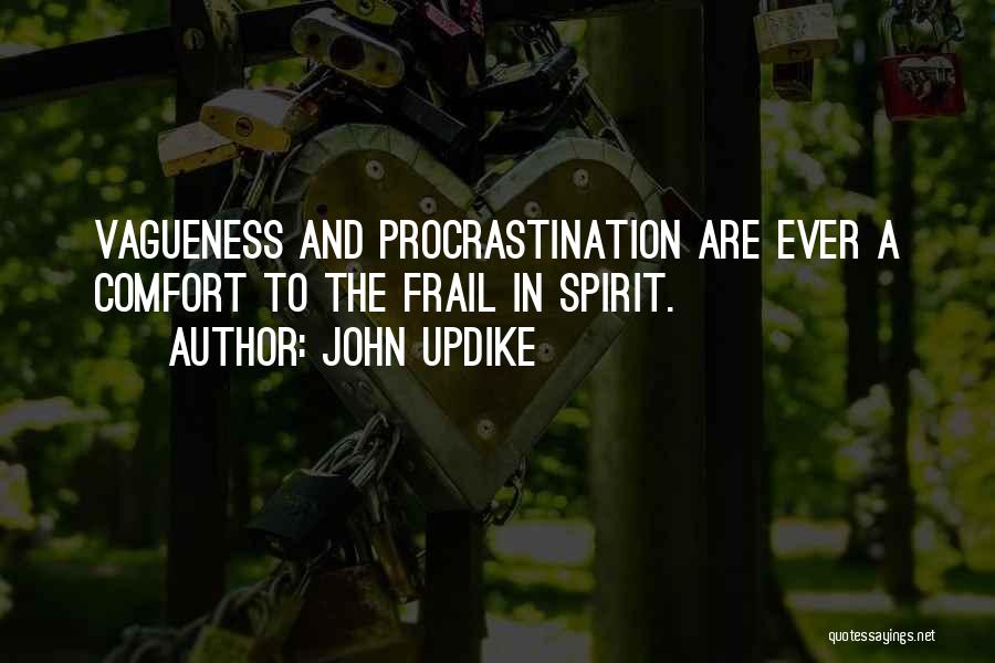 Vagueness Quotes By John Updike