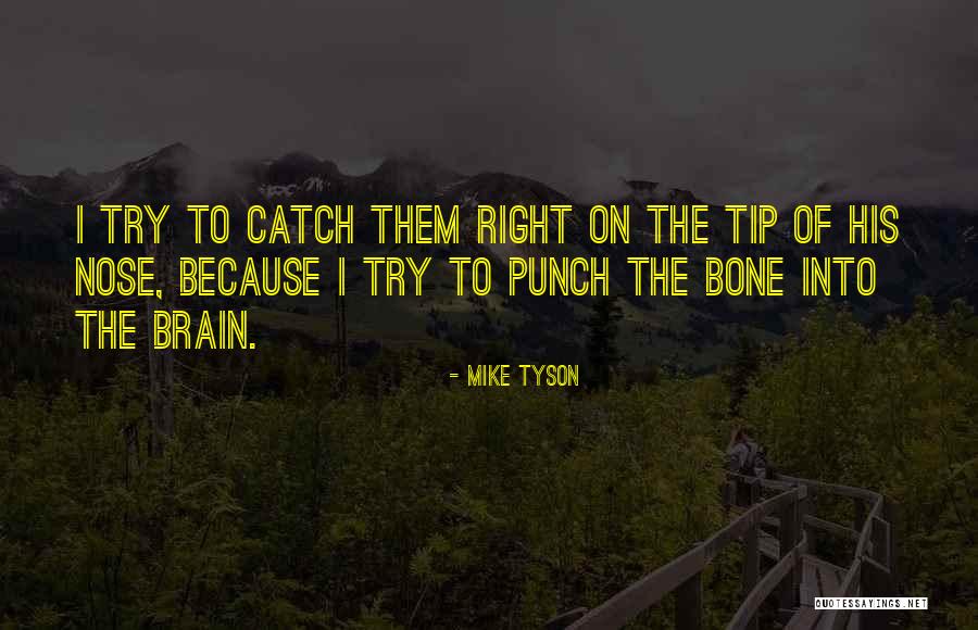 Vahdani Construction Quotes By Mike Tyson Vahdani Construction Quotes By Mike Tyson