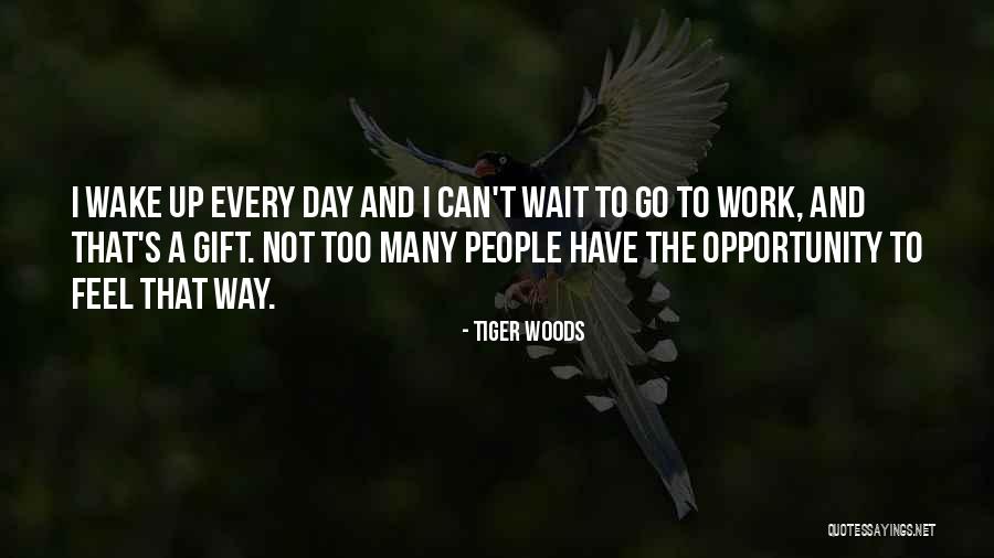 Vahur Valvere Quotes By Tiger Woods Vahur Valvere Quotes By Tiger Woods