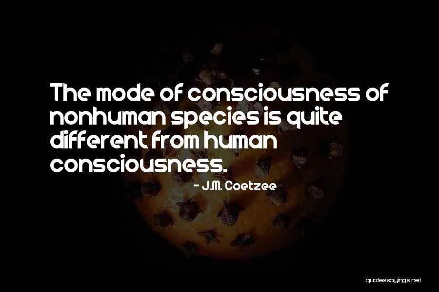 Vaidosa De Cesario Quotes By J.M. Coetzee Vaidosa De Cesario Quotes By J.M. Coetzee