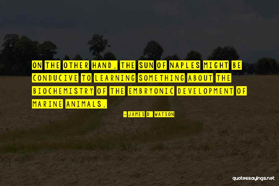 Vaikai Tvarkosi Quotes By James D. Watson Vaikai Tvarkosi Quotes By James D. Watson