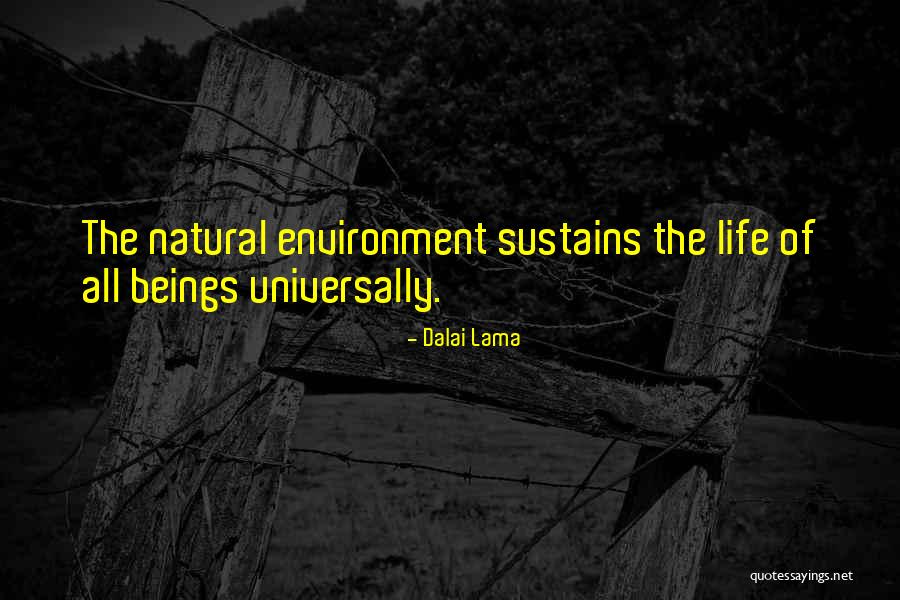 Vaile Quotes By Dalai Lama