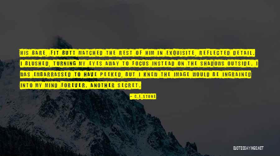 Vailiancy Quotes By C.L.Stone Vailiancy Quotes By C.L.Stone