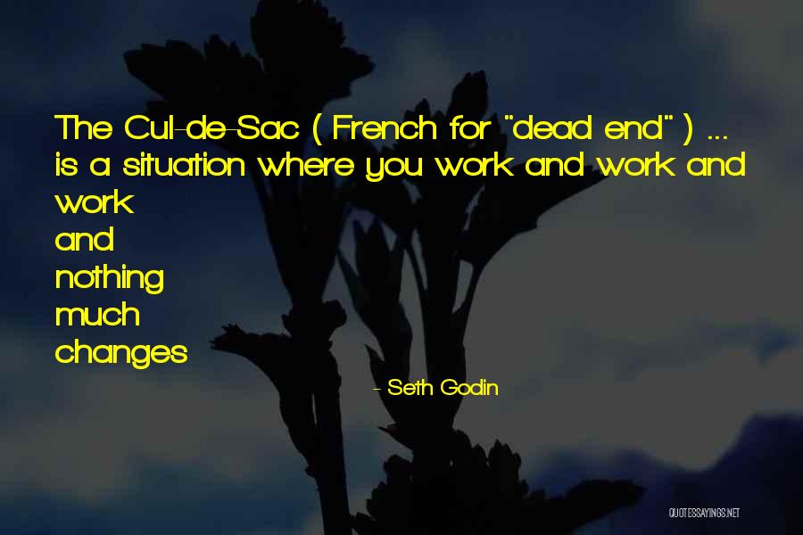 Vaiman Irene Quotes By Seth Godin Vaiman Irene Quotes By Seth Godin