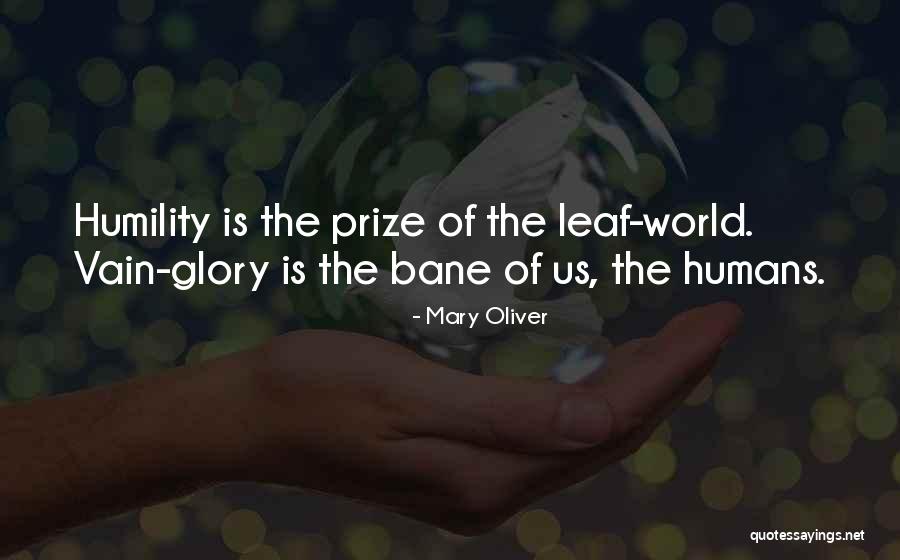 Vain Glory Quotes By Mary Oliver Vain Glory Quotes By Mary Oliver