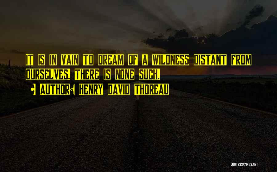 Vain Quotes By Henry David Thoreau