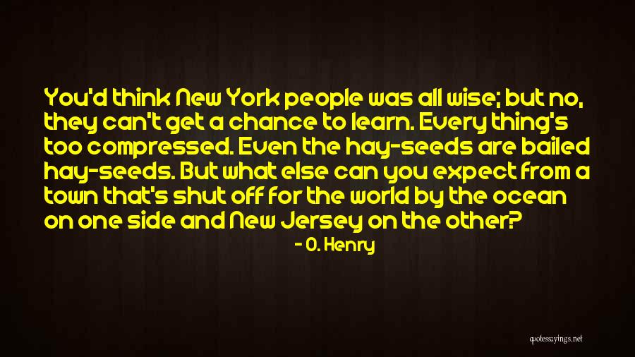Vainer Brothers Quotes By O. Henry Vainer Brothers Quotes By O. Henry