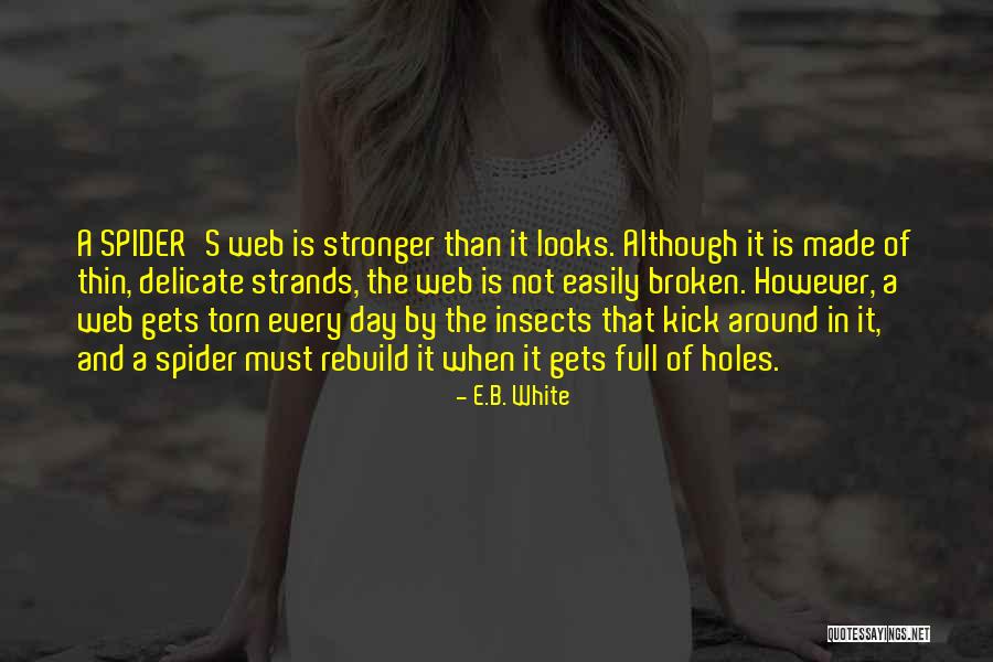 Vainglory Pc Quotes By E.B. White Vainglory Pc Quotes By E.B. White