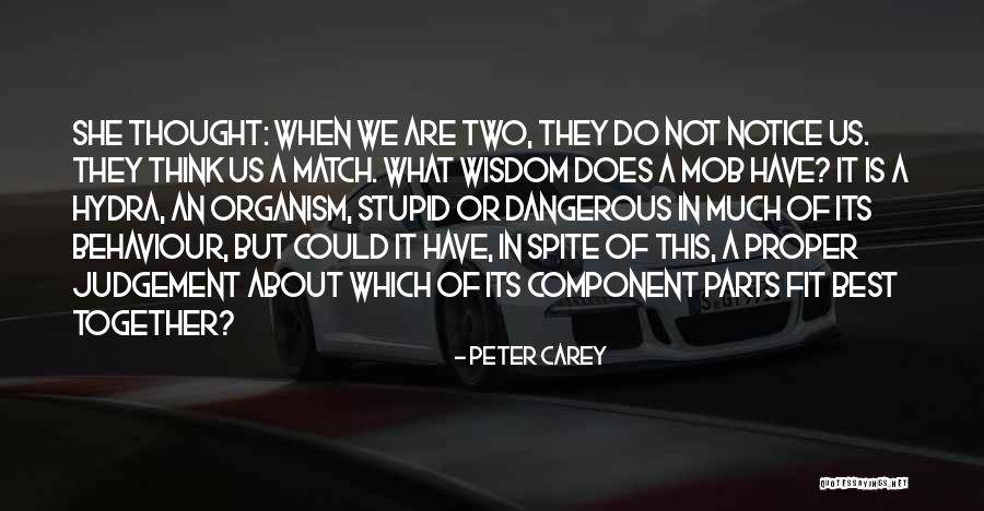 Vajaggle Quotes By Peter Carey Vajaggle Quotes By Peter Carey