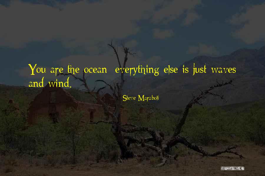 Vakayi Quotes By Steve Maraboli Vakayi Quotes By Steve Maraboli