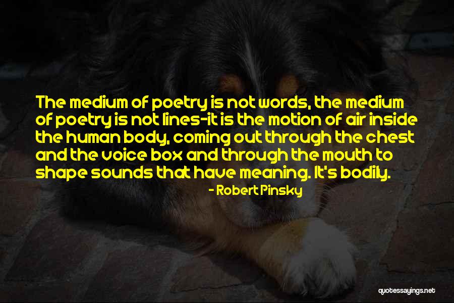 Valadin1 Quotes By Robert Pinsky Valadin1 Quotes By Robert Pinsky
