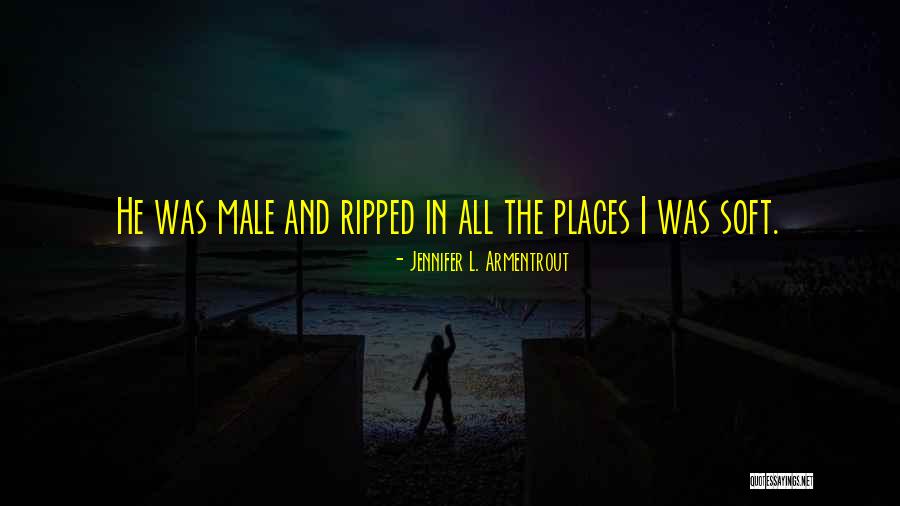 Valcin Haitian Quotes By Jennifer L. Armentrout
