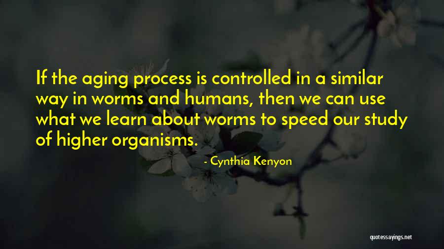 Valdecantos Margarita Quotes By Cynthia Kenyon Valdecantos Margarita Quotes By Cynthia Kenyon