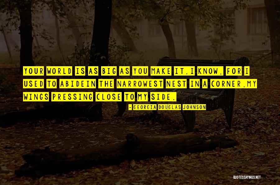 Valdezs Quotes By Georgia Douglas Johnson Valdezs Quotes By Georgia Douglas Johnson