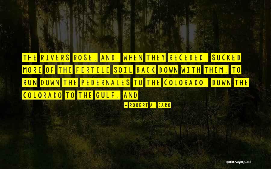 Valdivieso Sarmiento Quotes By Robert A. Caro Valdivieso Sarmiento Quotes By Robert A. Caro
