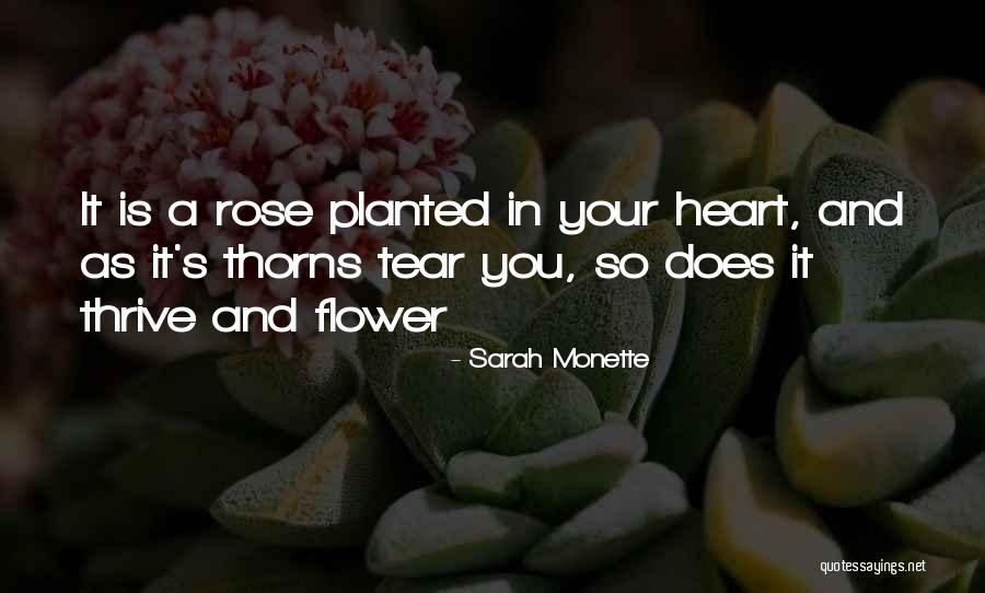 Valdons Magic Mocha Quotes By Sarah Monette Valdons Magic Mocha Quotes By Sarah Monette