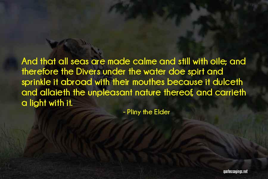 Valencay Cheese Quotes By Pliny The Elder Valencay Cheese Quotes By Pliny The Elder