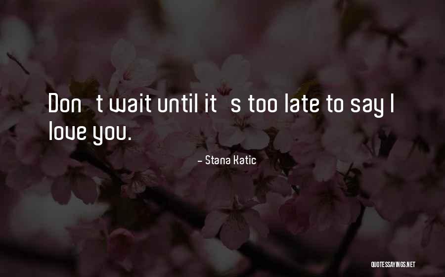 Valentines Day Ever Quotes By Stana Katic